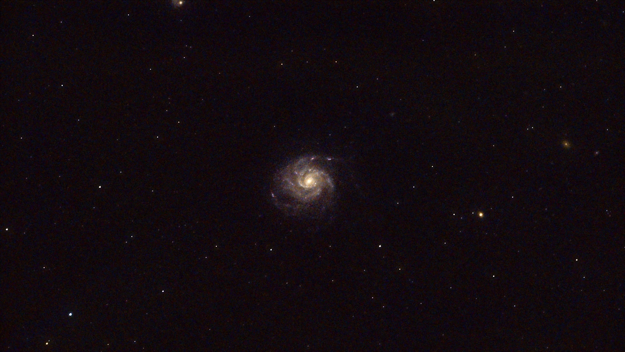 M101